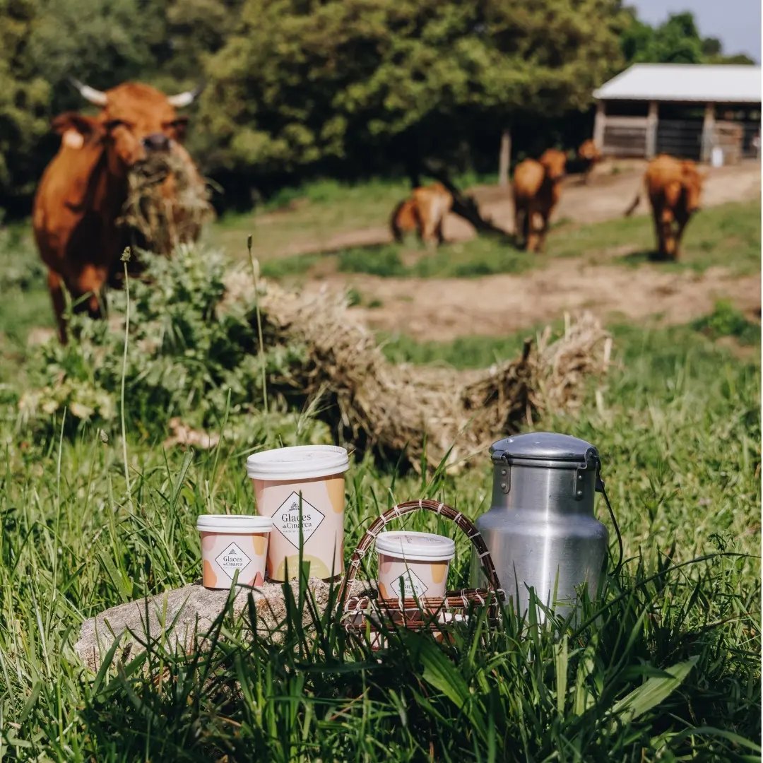 Le fromage de la Ferme de Cinarca