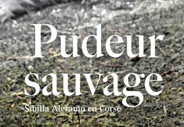 Pudeur Sauvage